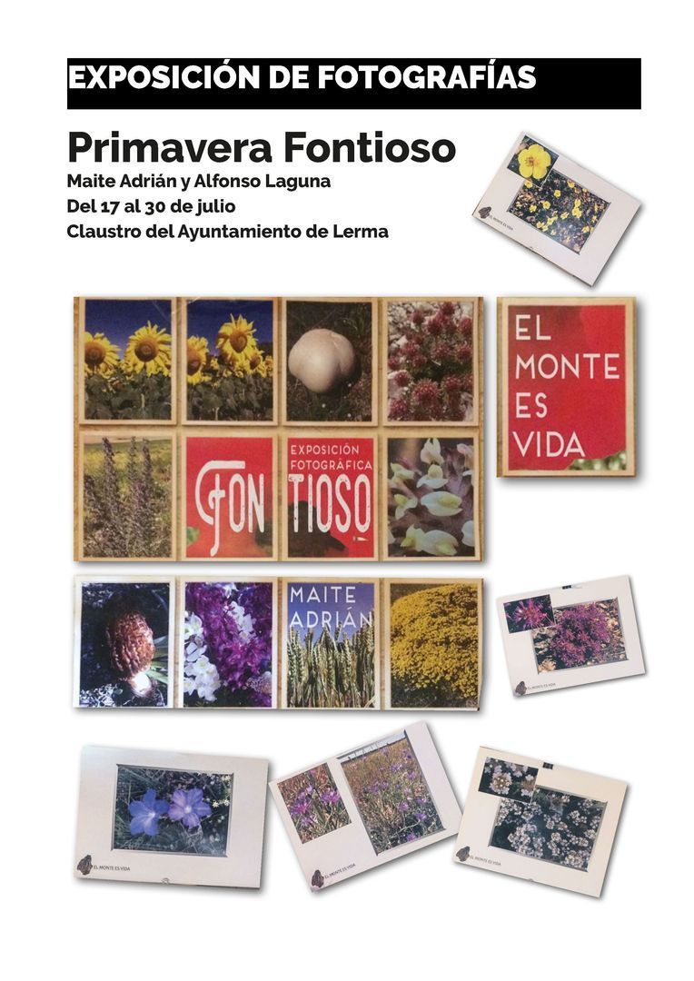 Exposición de Fotografías "Primavera Fontioso"