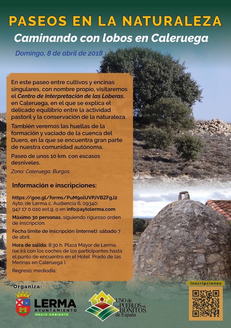 Paseos en la Naturaleza-Caminando con Lobos en Caleruega